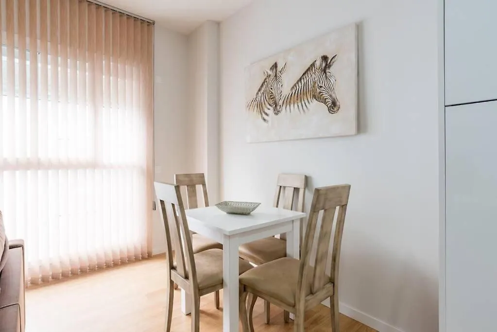Teatro Plaza Apartments Malaga 0*,